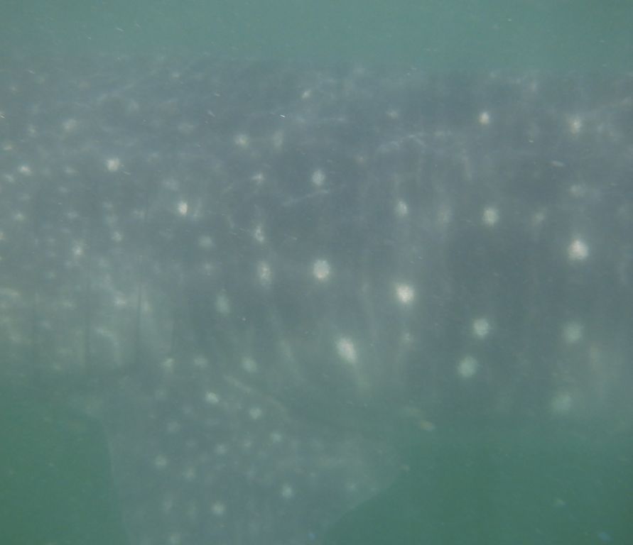 6429417e-9a81-47de-8571-9e9ff8a2dbc6