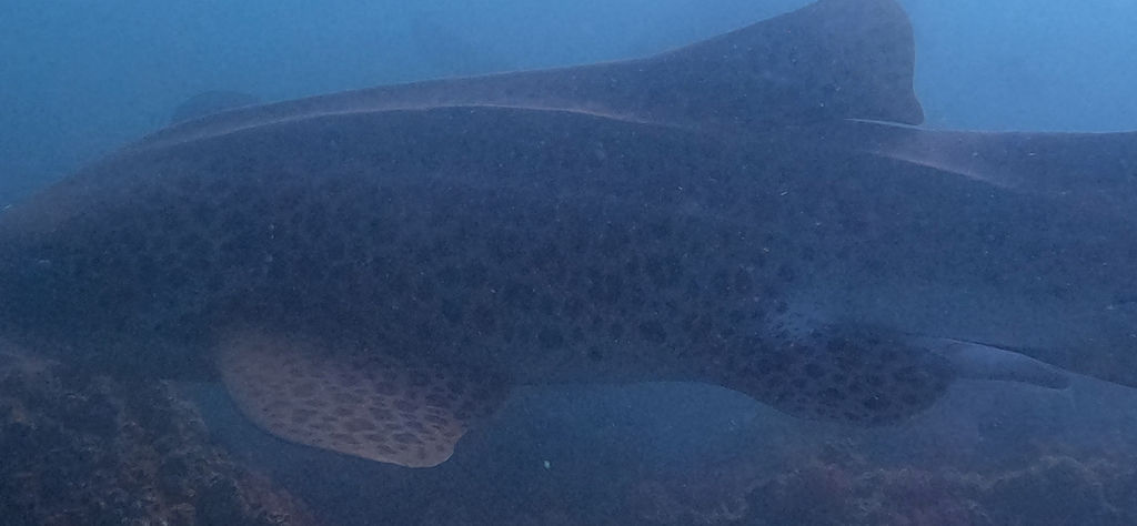 9faf2264-0022-4862-967f-2cc32fc7c12e