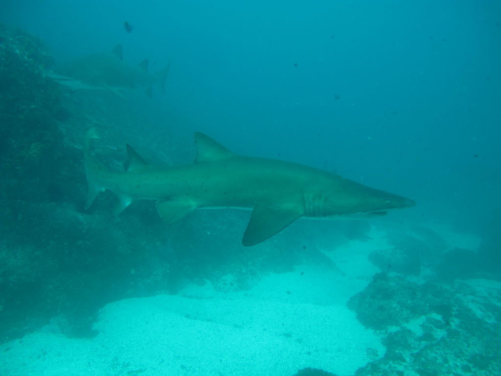 af71d643-e3d4-4dc8-8798-c5b21b859224