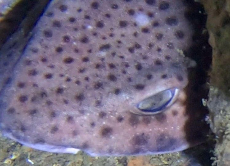 248fcec3-14d2-43b7-b909-407cb3dda696