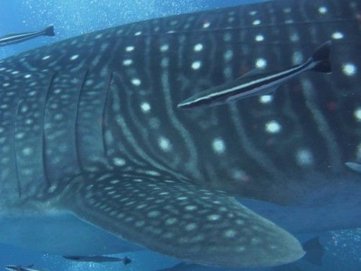 4e25d763-bde2-42c6-b1e5-0cacb3681d64