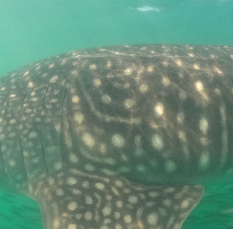 89553ad4-8919-43c1-a67d-42906d4436fc