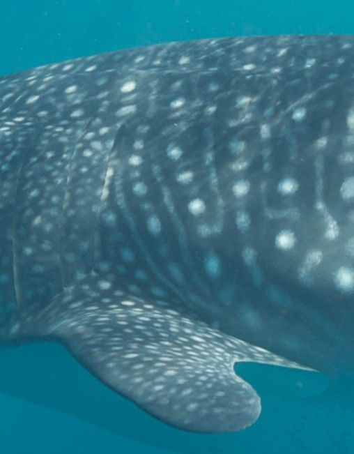 5f81c0ec-3cc2-443f-8791-f1546eb947df