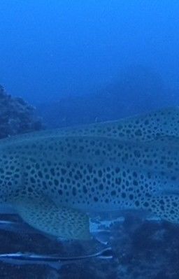 25c6deb1-9d7e-47aa-b8ca-28096592027b