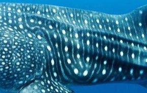 eb07e127-bcf3-4bb1-bd9b-4ecc78e1bcd5