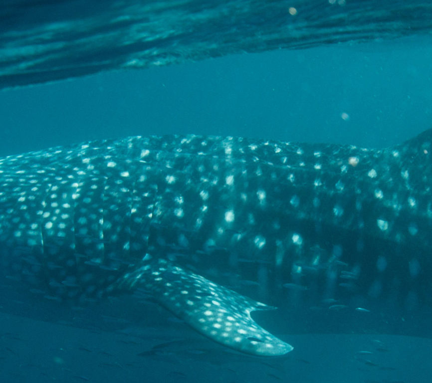 44e56054-1b9e-40d2-88d3-df2a071fb68f