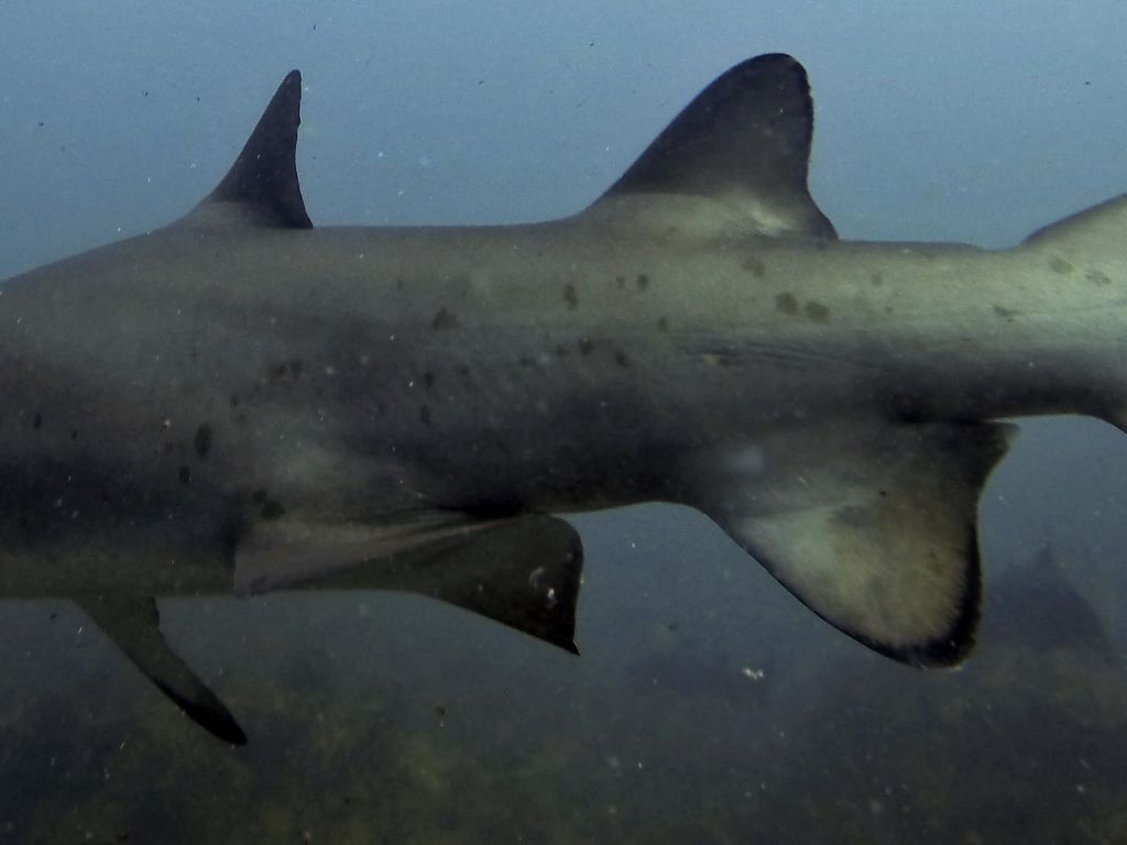 9b04dea8-9c50-4c09-b460-1ecb760cd504