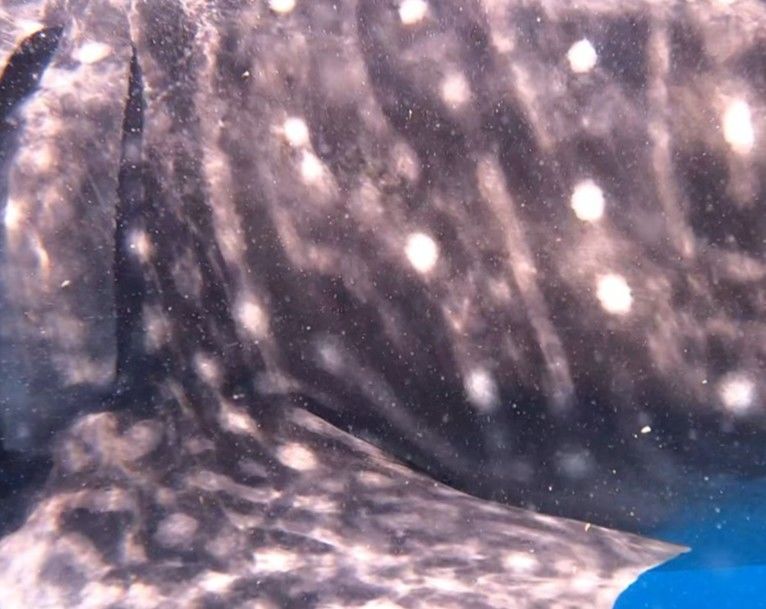 3dfc15ef-f37e-45f8-8745-ff998f702d9b