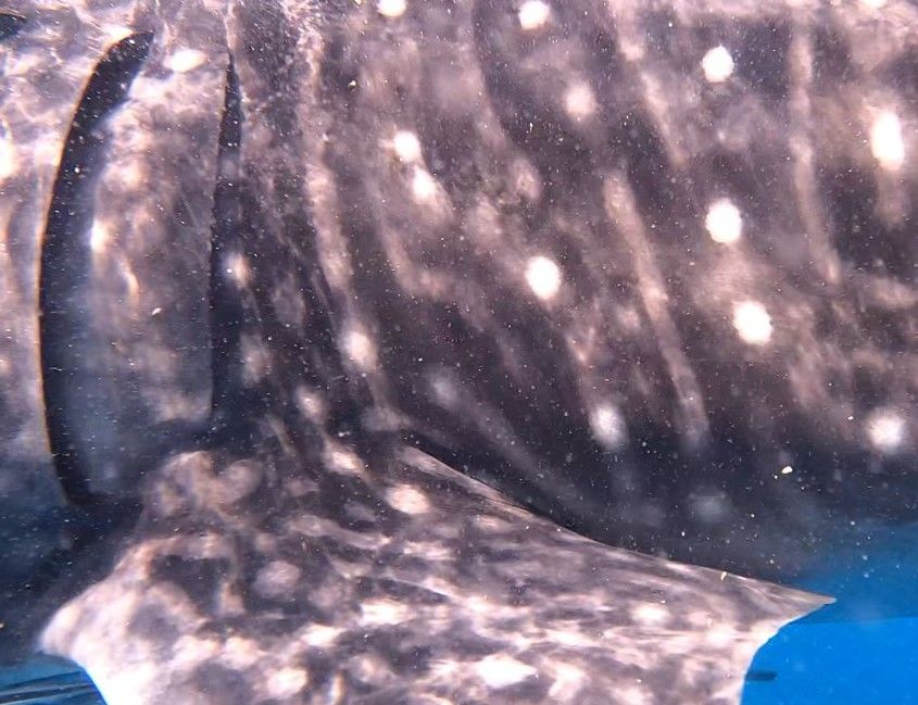 3dfc15ef-f37e-45f8-8745-ff998f702d9b