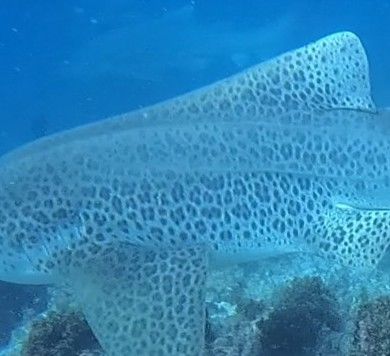 e30576b5-023a-4fd9-bcab-eeaefedf8304