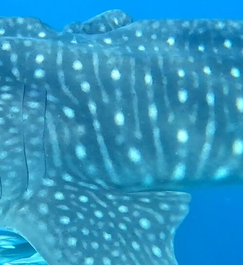 a281a1a9-6100-4abc-8c1b-4d7c5619d54a