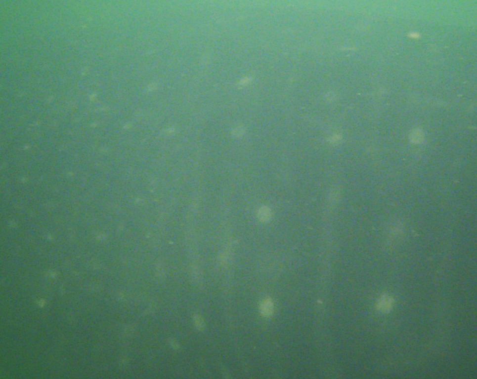 87cd52d5-f0f0-4964-ae43-b20edaae7e40