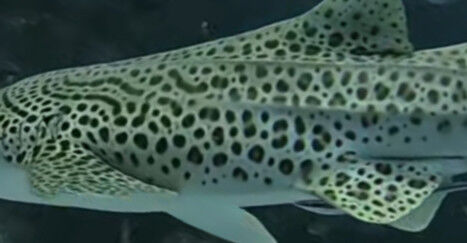 d3ba4215-1068-4516-a179-a4066fcb98dc