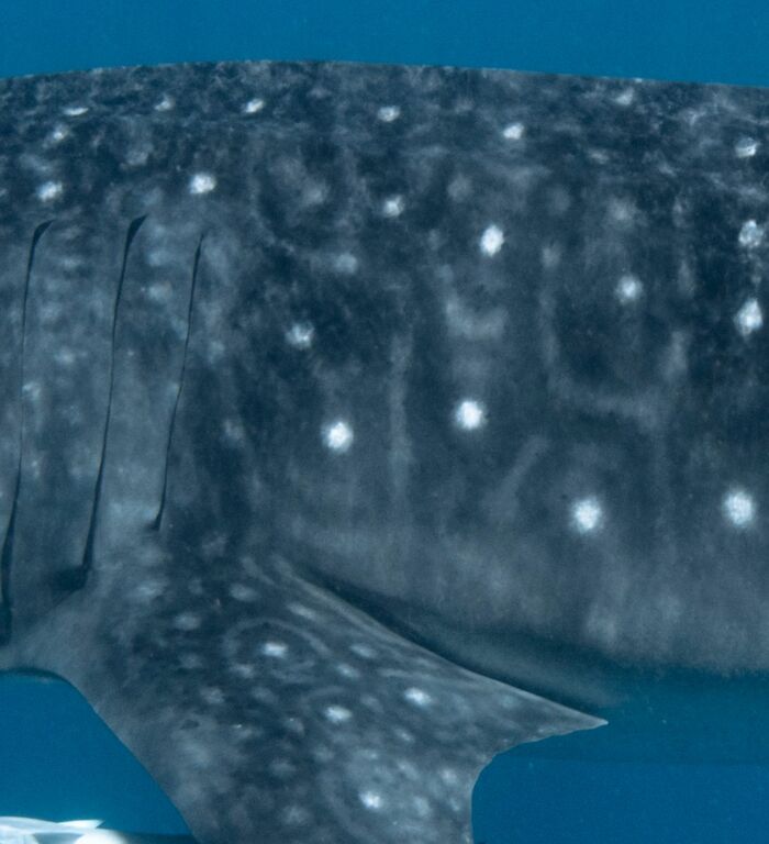 5949dd43-5c10-45c9-8df6-d81d4685759f