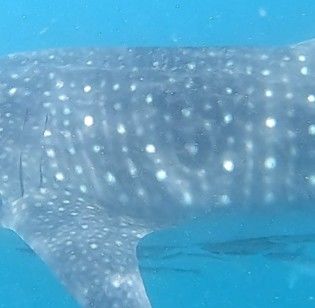 7212e0cc-d5f7-499f-92ef-5245d391e138