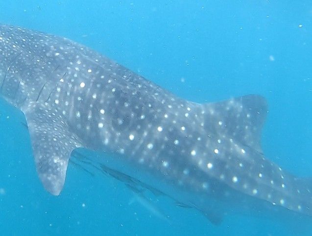 7212e0cc-d5f7-499f-92ef-5245d391e138