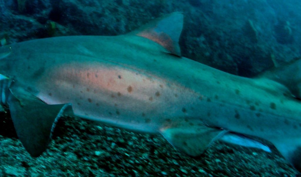 2c6415a6-6440-4917-a9a6-68cb0f86e806