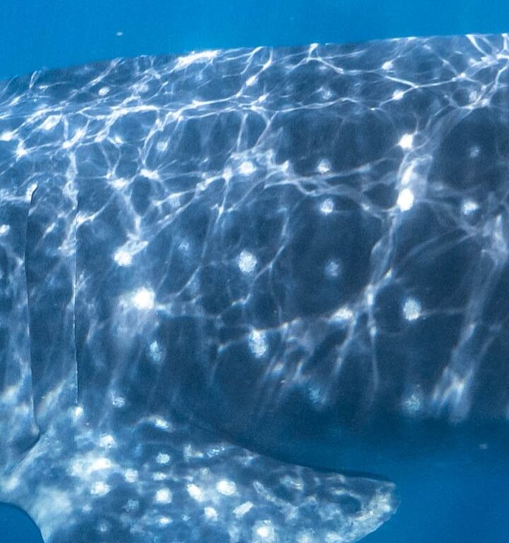 79612e95-77a8-412d-b8de-267e363bc42b