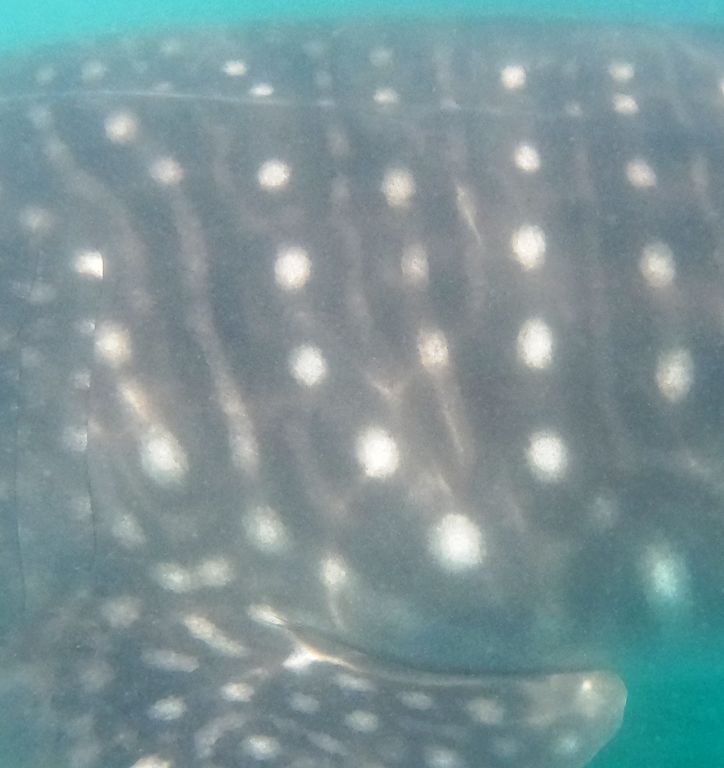 e0308227-7129-4f07-a2e7-044a12f63678