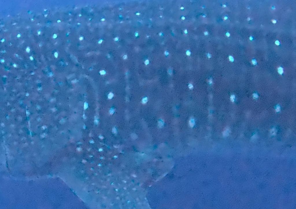 4b809364-25d8-42fa-b243-d3b1c3ce1c90