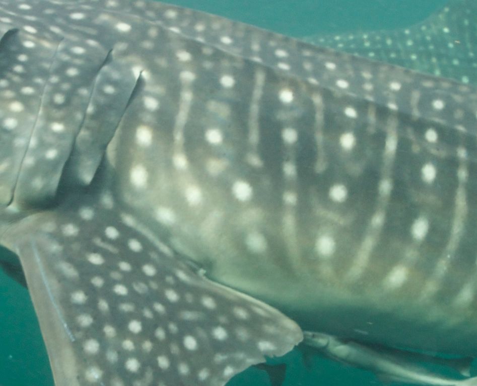 332e5f95-2240-42ff-8022-d7f0362291f8