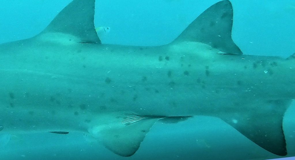 bcbfc54a-e7ef-426e-a7e4-d278dabd5ffa