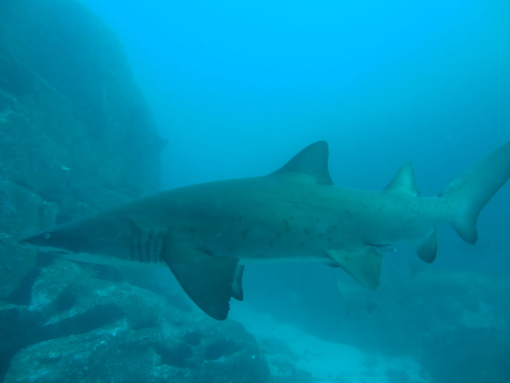 cb4ee7fc-1d9a-4635-8299-de91a19f570b