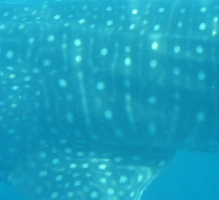 8594265b-c5d5-48d3-8edb-79279cc9431b