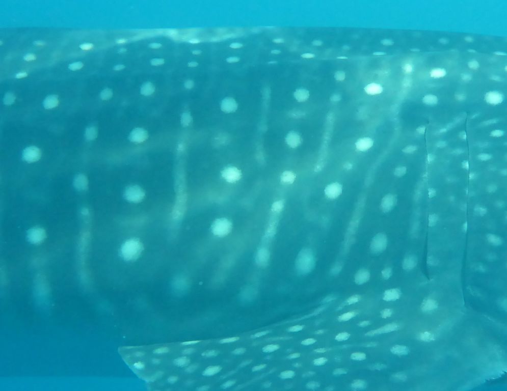 8594265b-c5d5-48d3-8edb-79279cc9431b