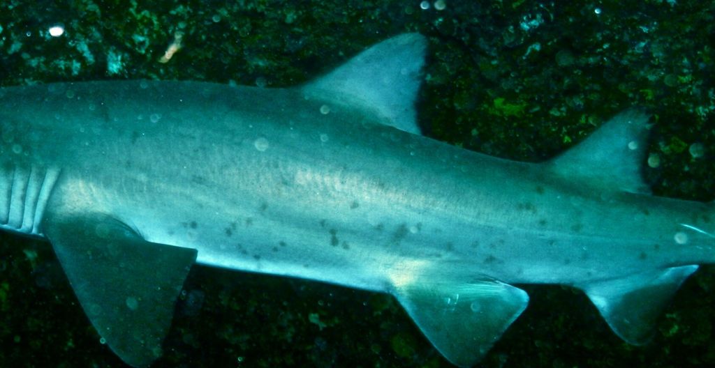 c3d18464-1bed-4c36-a419-ac255569f90f