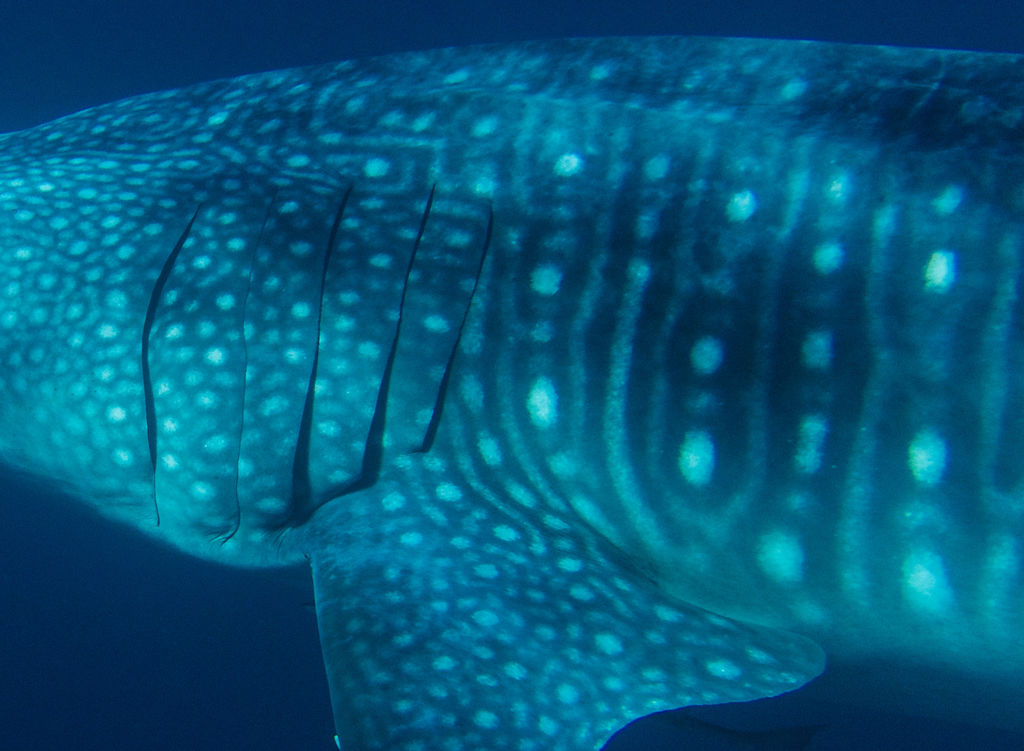 37d74d08-a0d0-490e-a934-ebe73d896502