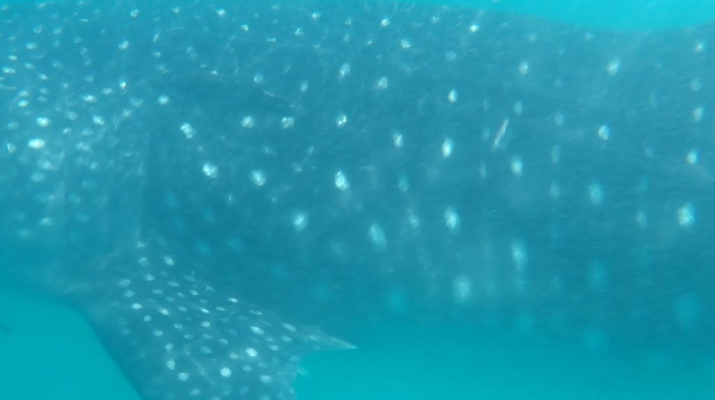 7a425f22-7cdf-47d5-91bf-4b80d9b22fe0