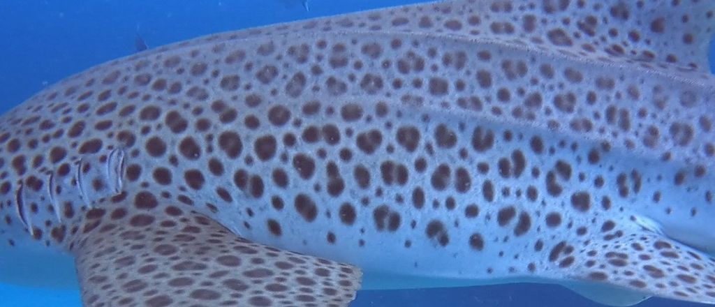 b86a70f1-167d-4770-9c53-54c46d619b00