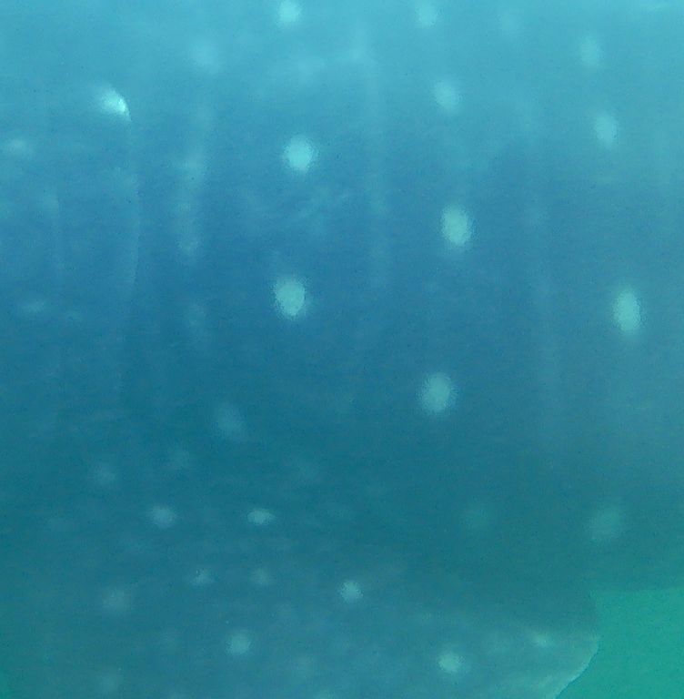 870e7717-fff2-4fe0-ae06-355d0ba1edab