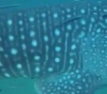 8e7bd973-26db-4afc-9ed8-49325843bd8c