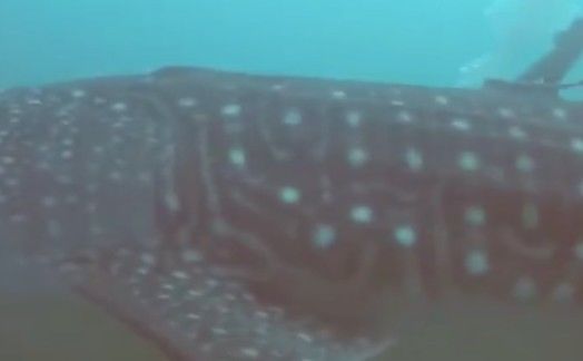 8e7bd973-26db-4afc-9ed8-49325843bd8c