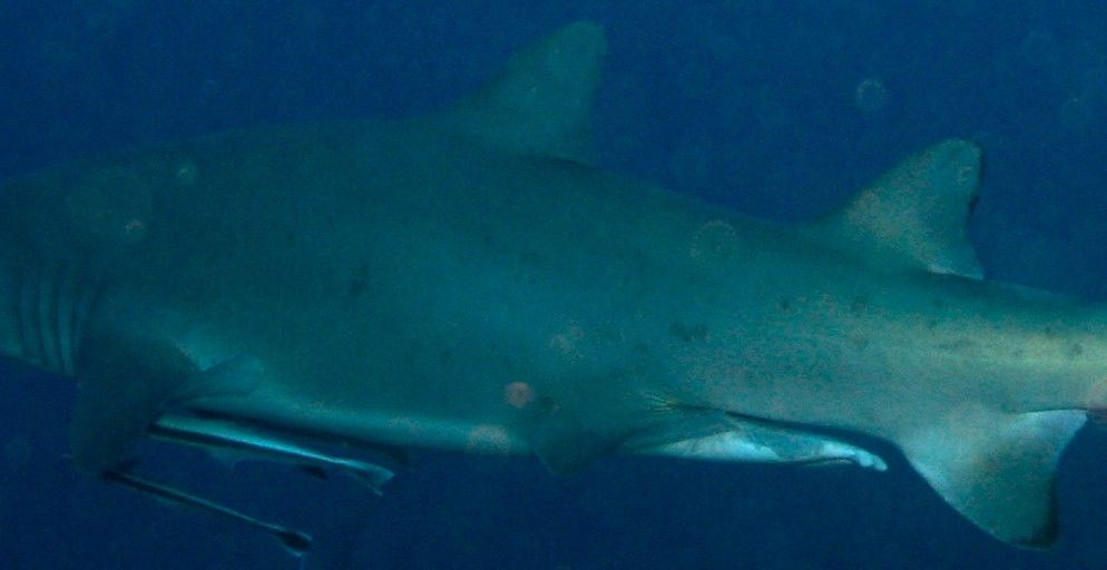 8a4694fa-8604-422f-9d4c-6b849c3d0fc7