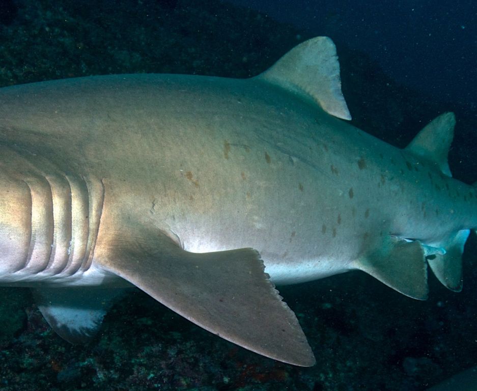 7a6de48b-c4e4-4d4a-9285-461c1be9196a