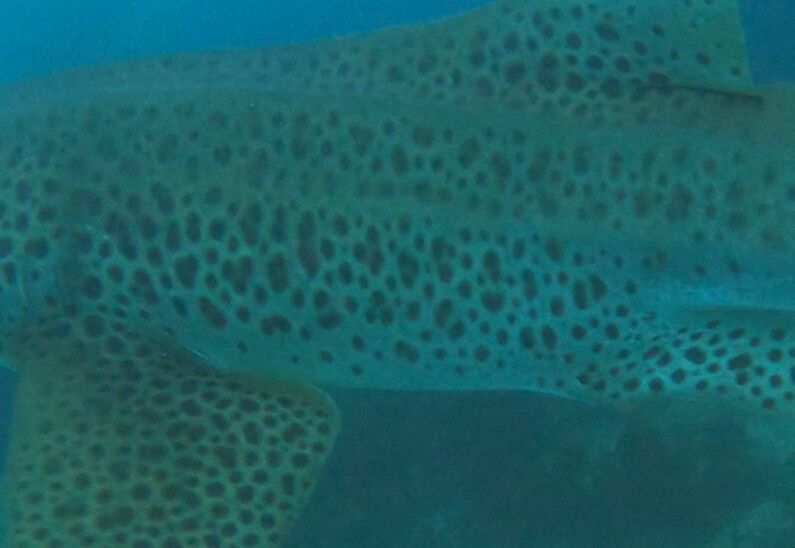 6f92311b-c7e4-4b68-8a95-267d1047ee30