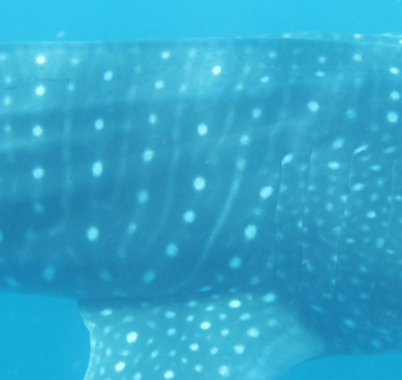 2bc6ea82-3614-405b-8003-a75fb0341c6c