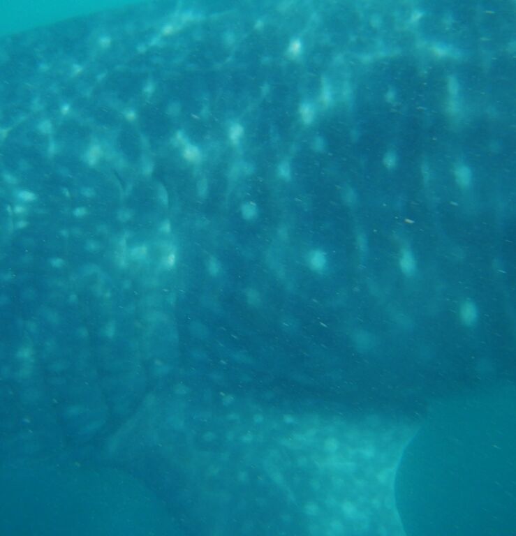 c936d3cc-ab39-467a-9939-15422ef6c449