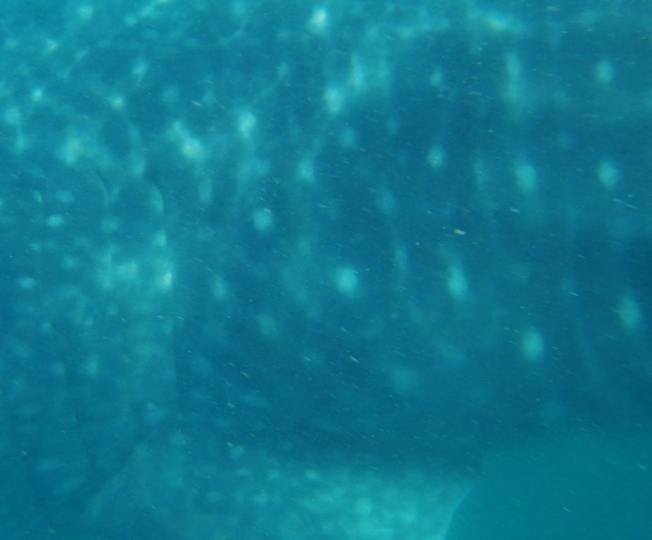 c936d3cc-ab39-467a-9939-15422ef6c449