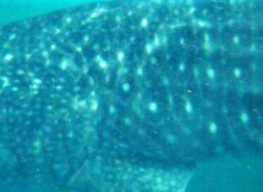 c936d3cc-ab39-467a-9939-15422ef6c449