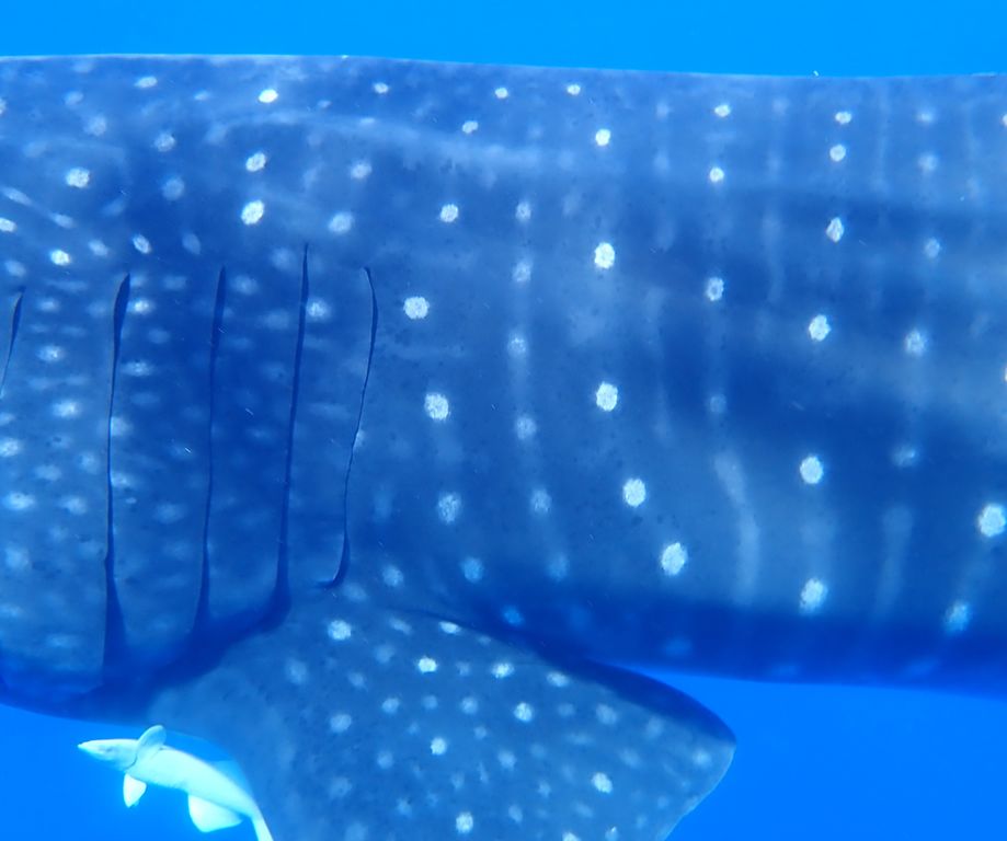 a7f978b8-180b-4233-b825-979de880cd26