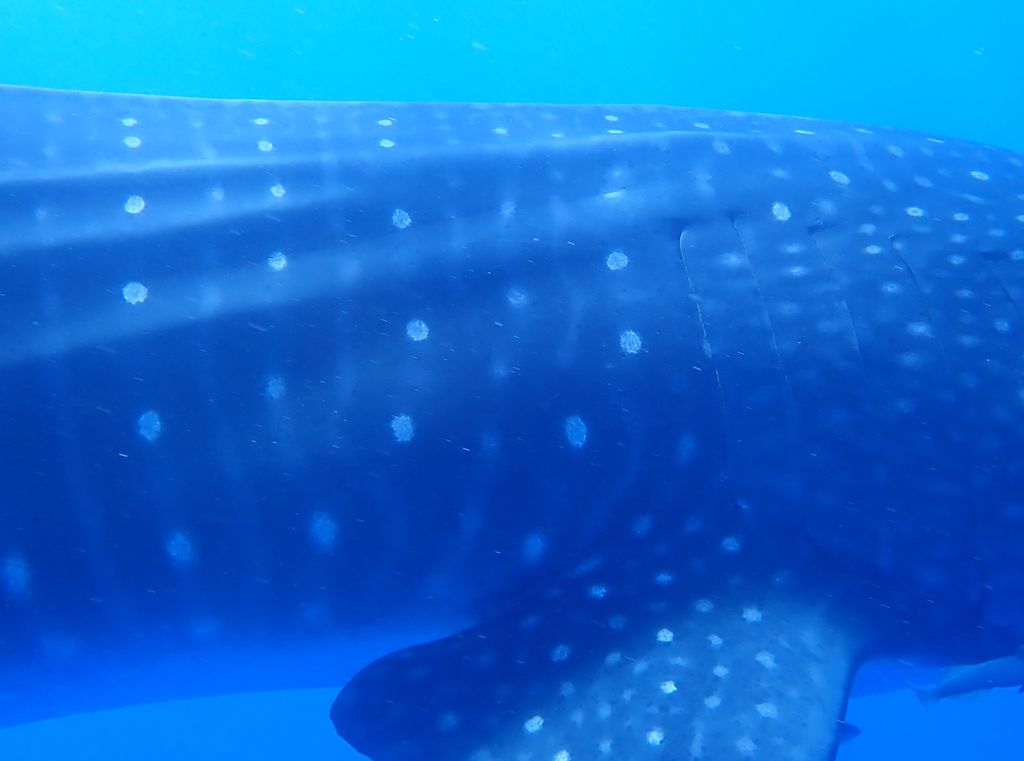 a7f978b8-180b-4233-b825-979de880cd26