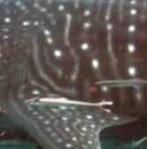 7024ce8f-53ff-407f-96ee-e2ede6f5c5c9