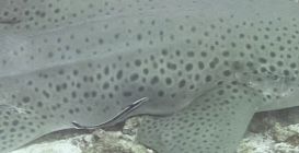 1e2540fe-8b89-407c-8d34-b9b0ceb38e6e