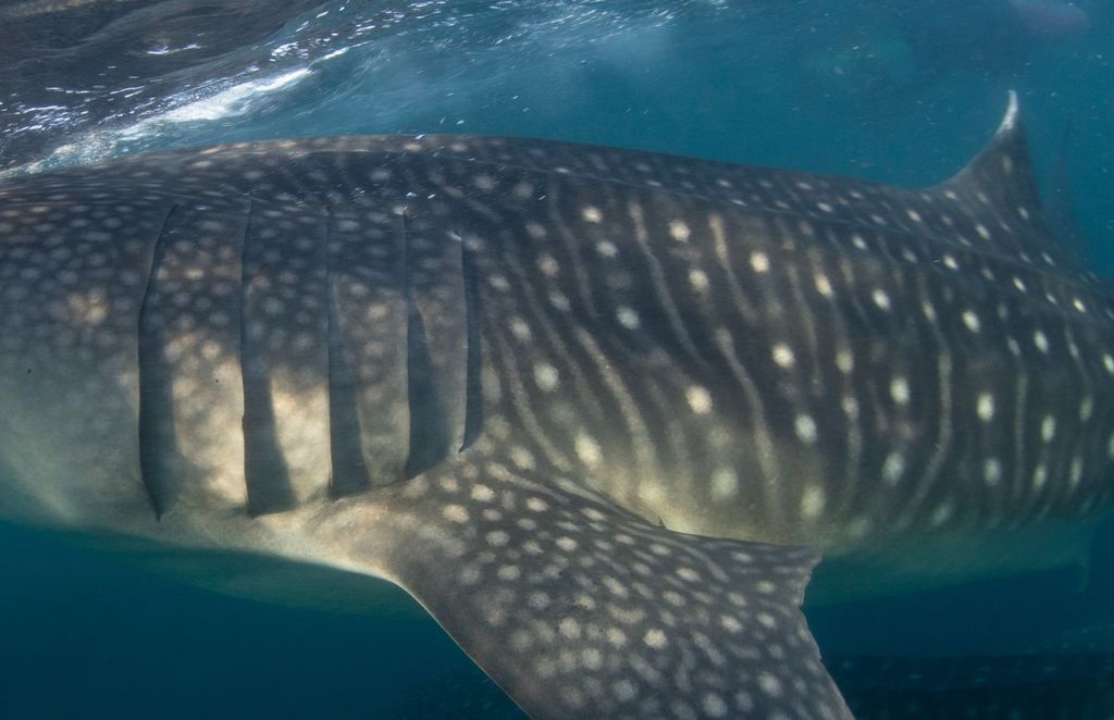 df69cb45-9ad8-480f-a5ec-23fe98f92b62