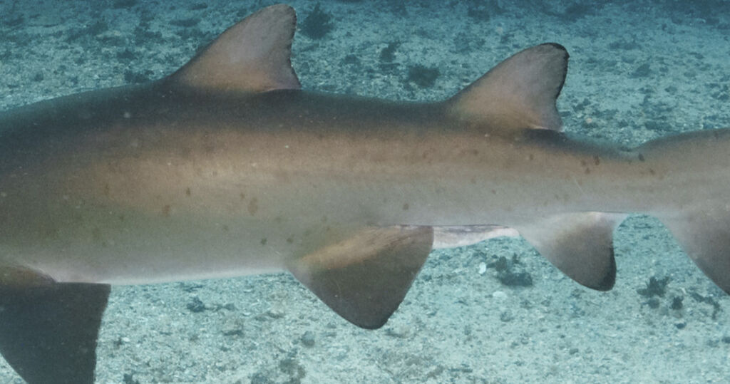 f36d3dea-86c0-4aa6-9f84-6ef9bbf5634f