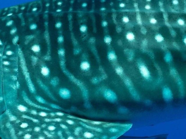 57854f65-c695-480d-8bfc-091e6343c0c3